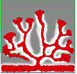 An image illustrating the angiogenesis model explained in this chapter